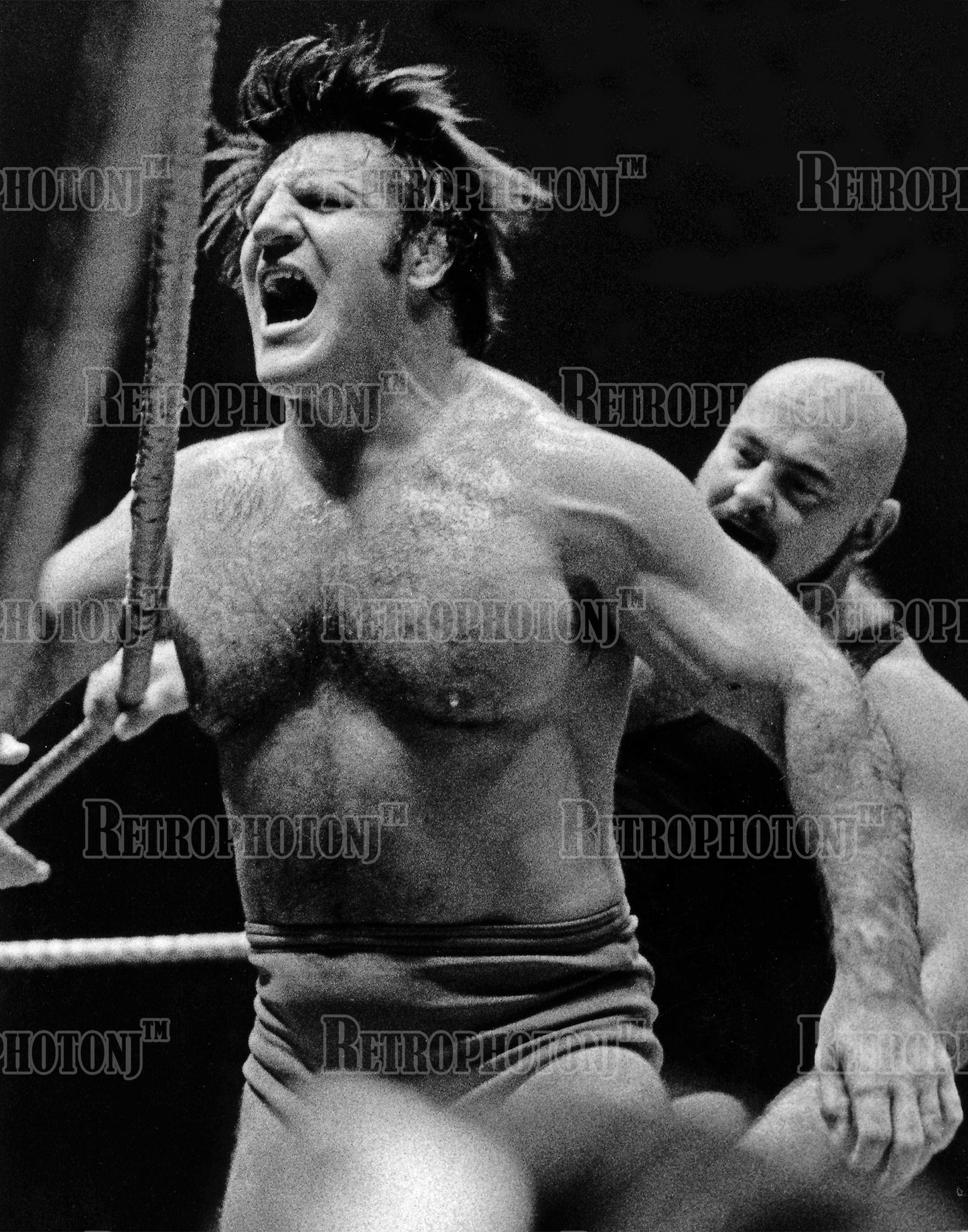 Bruno Sammartino