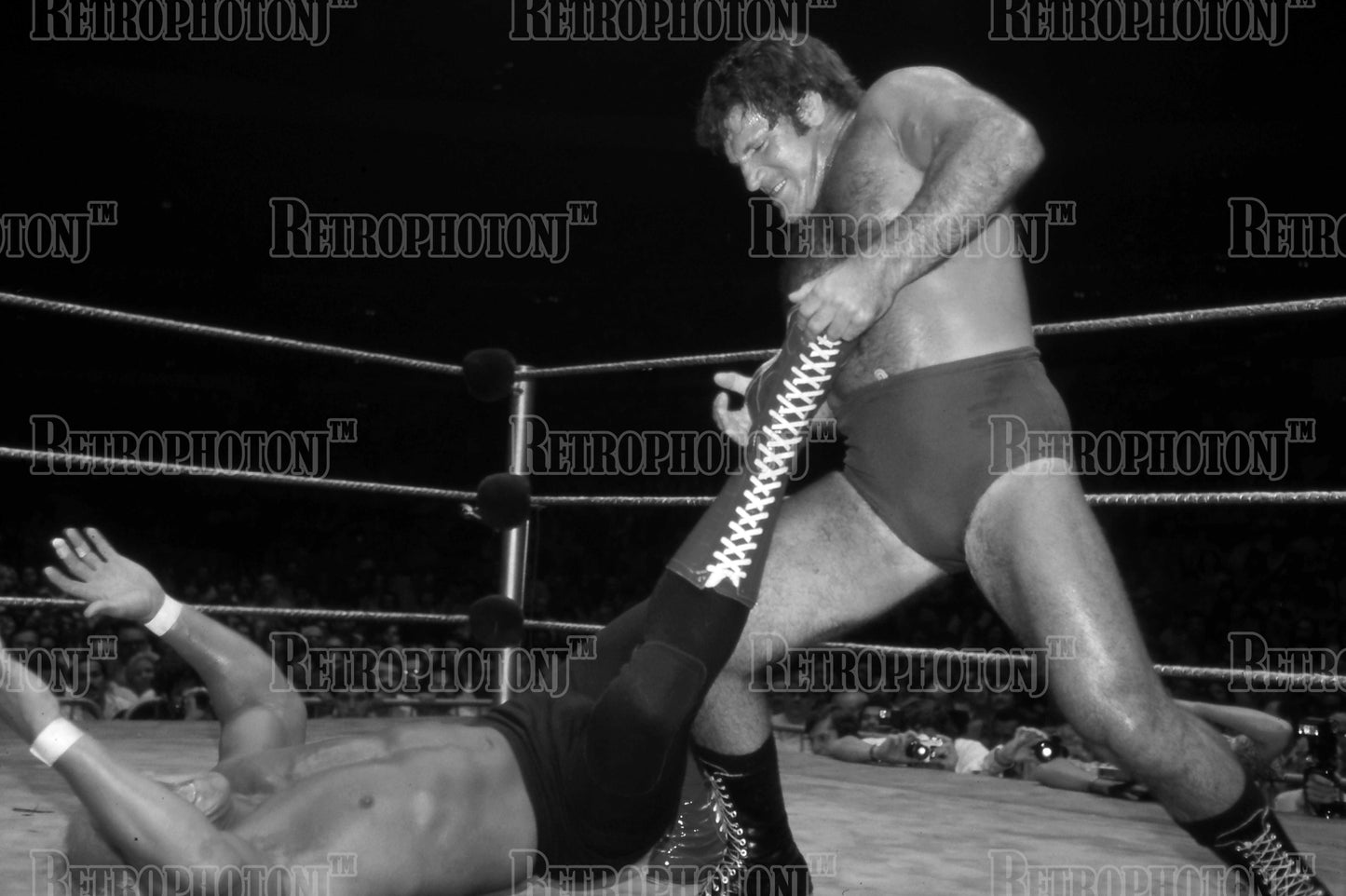 Bruno Sammartino 2