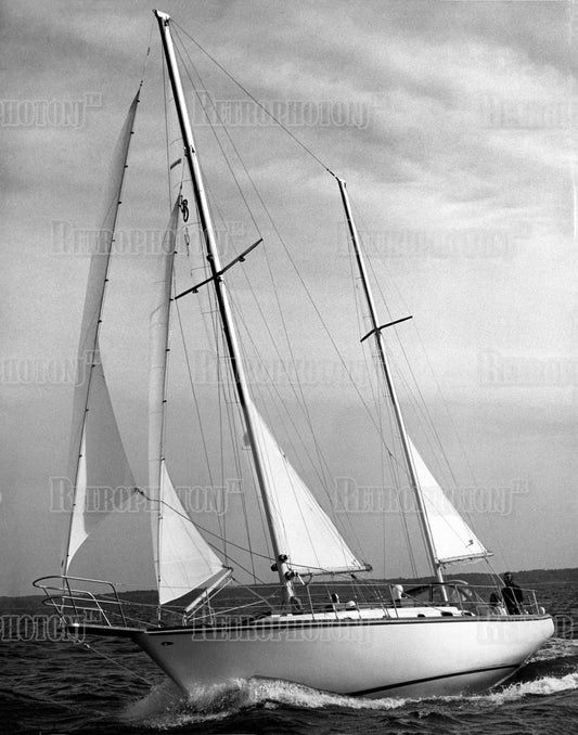 Shannon 38